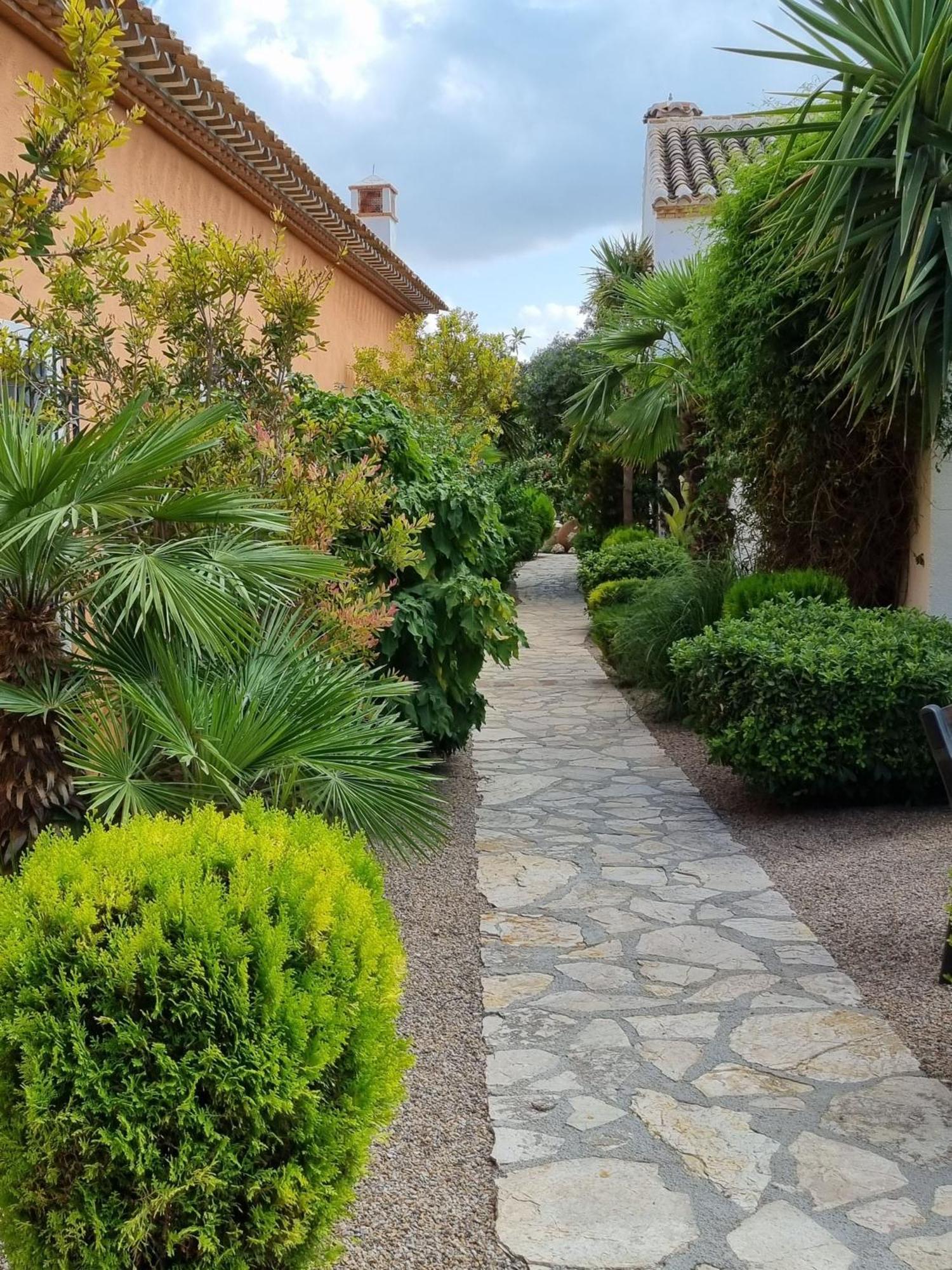 Desconexion Entre Olivos Centenarios Villa Velez Blanco Exterior photo