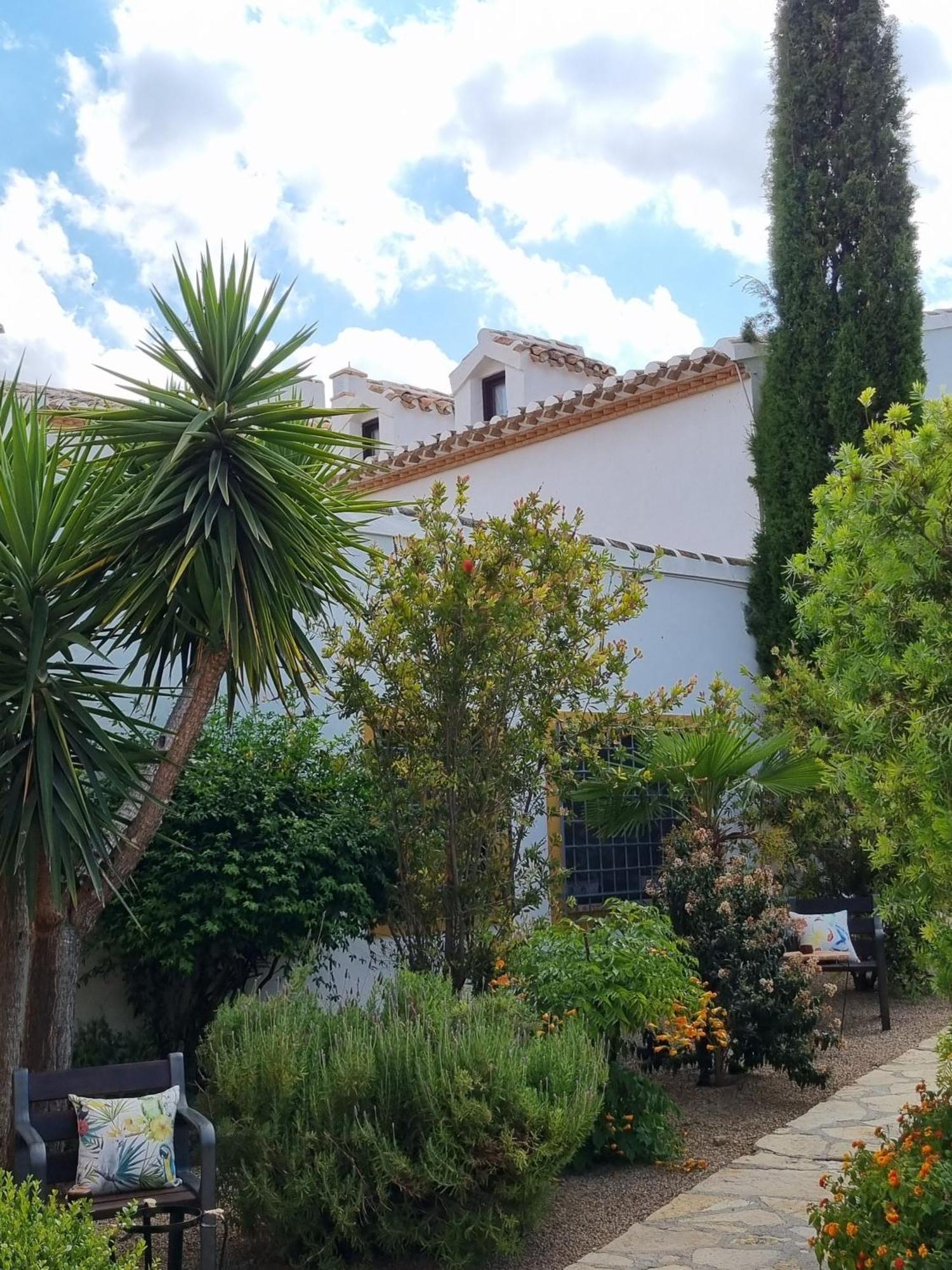 Desconexion Entre Olivos Centenarios Villa Velez Blanco Exterior photo