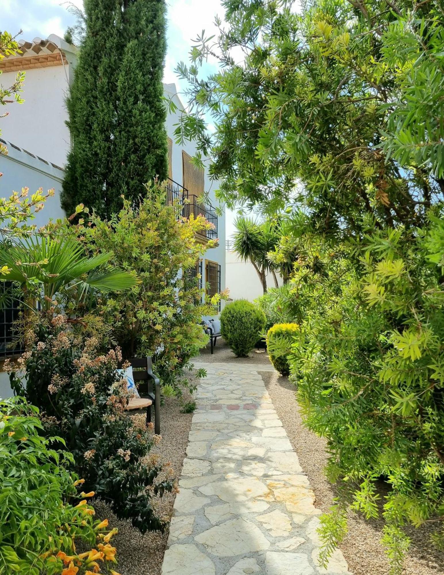Desconexion Entre Olivos Centenarios Villa Velez Blanco Exterior photo